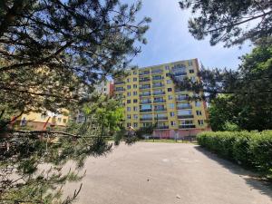 Prodej bytu 1+kk, Brno, Okrouhlá, 28 m2