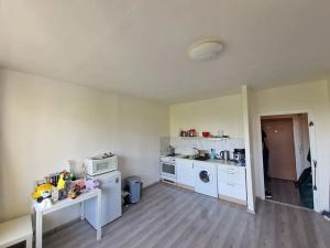 Prodej bytu 1+kk, Brno, Okrouhlá, 28 m2