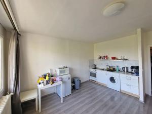 Prodej bytu 1+kk, Brno, Okrouhlá, 28 m2