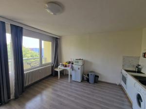 Prodej bytu 1+kk, Brno, Okrouhlá, 28 m2