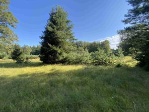 Prodej pozemku, Stráž nad Nežárkou, 3823 m2