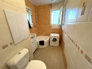 Pronájem bytu 2+1, České Budějovice - České Budějovice 3, Plzeňská, 49 m2
