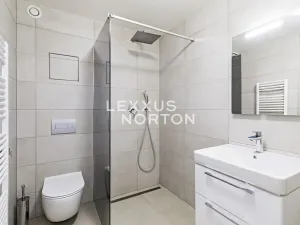 Pronájem bytu 1+kk, Praha - Smíchov, Holečkova, 55 m2