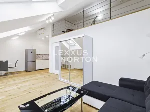 Pronájem bytu 1+kk, Praha - Smíchov, Holečkova, 55 m2