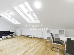 Pronájem bytu 1+kk, Praha - Smíchov, Holečkova, 55 m2