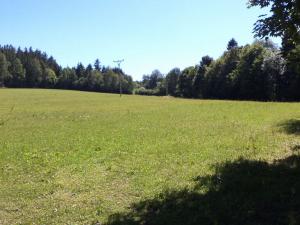 Prodej pole, Strašín, 36470 m2
