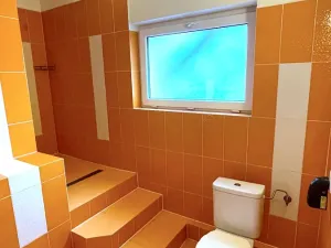 Pronájem bytu 1+1, Brno, Kociánka, 50 m2