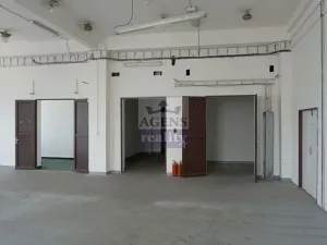 Pronájem skladu, Praha, Radiová, 223 m2
