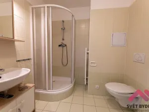 Pronájem bytu 1+kk, Praha - Lhotka, Štúrova, 33 m2