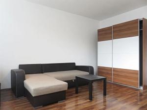 Pronájem bytu 1+kk, Brno, Vídeňská, 28 m2