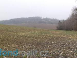 Prodej pole, Zvěstov, 51077 m2