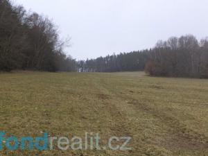 Prodej pole, Zvěstov, 51077 m2