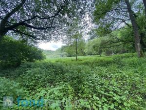 Prodej pole, Ptice, 3291 m2