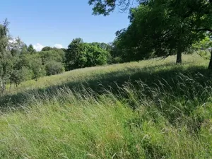 Prodej chalupy, Hora Svatého Šebestiána, 150 m2