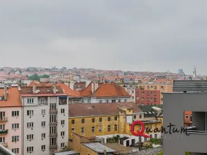 Pronájem bytu 1+kk, Praha - Vršovice, Novgorodská, 30 m2