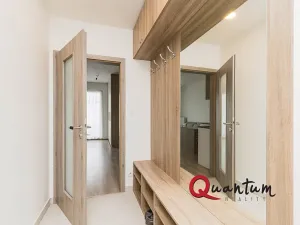 Pronájem bytu 1+kk, Praha - Vršovice, Novgorodská, 30 m2
