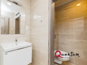 Pronájem bytu 1+kk, Praha - Vršovice, Novgorodská, 30 m2