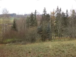Dražba pole, Zdíkov, 10224 m2