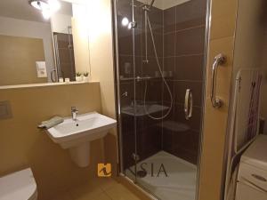 Pronájem bytu 1+kk, Beroun - Beroun-Město, U Archivu, 24 m2