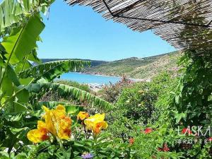 Prodej rodinného domu, Kefalonia, Sami, Řecko, 215 m2