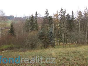 Prodej pole, Zdíkov - Branišov, 10244 m2
