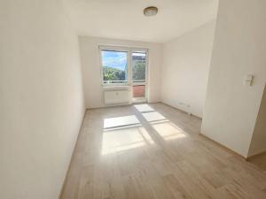 Prodej bytu 2+kk, Brno, Černého, 46 m2