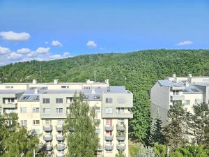 Prodej bytu 2+kk, Brno, Černého, 46 m2