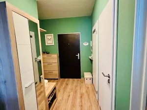 Pronájem bytu 2+kk, Praha - Žižkov, V zahrádkách, 52 m2