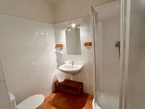 Prodej ubytování, Zlatá Koruna, 500 m2