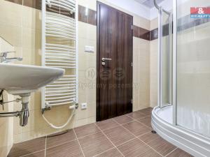 Pronájem bytu 2+kk, Plzeň - Jižní Předměstí, U Borských kasáren, 53 m2