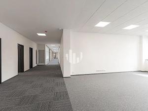 Pronájem kanceláře, Ostrava, Slavíkova, 500 m2