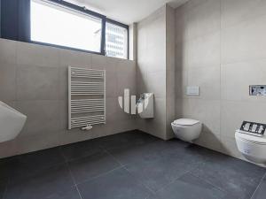 Pronájem kanceláře, Ostrava, Slavíkova, 1000 m2