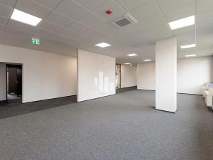 Pronájem kanceláře, Ostrava, Slavíkova, 1700 m2
