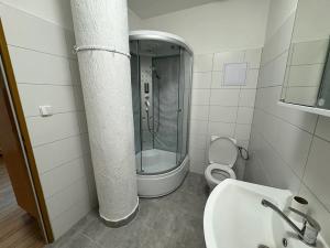 Pronájem bytu 1+kk, Liberec, Žitná, 37 m2