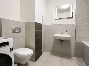 Pronájem bytu 1+1, Hradec Králové, Selicharova, 40 m2