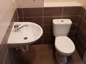 Pronájem bytu 1+kk, Bílina, Teplická, 21 m2