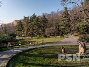 Prodej bytu 3+kk, Praha - Nusle, Rostislavova, 90 m2