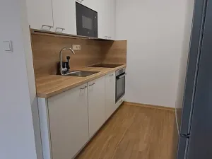 Prodej bytu 1+kk, Praha - Žižkov, V zahrádkách, 33 m2
