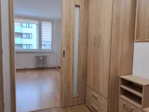 Prodej bytu 1+kk, Praha - Žižkov, V zahrádkách, 33 m2