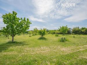 Prodej pozemku pro bydlení, Bílá Lhota, 1300 m2