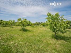 Prodej pozemku pro bydlení, Bílá Lhota, 1300 m2