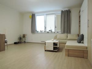 Pronájem bytu 1+kk, Brno, Hrázka, 39 m2