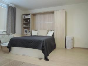 Pronájem bytu 1+kk, Brno, Hrázka, 39 m2