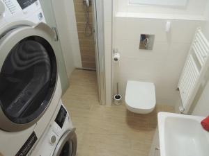 Pronájem bytu 1+kk, Brno, Hrázka, 39 m2