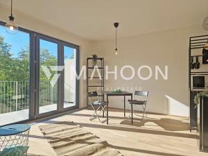 Pronájem bytu 1+kk, Praha - Hodkovičky, Šenácká, 45 m2