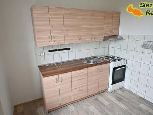 Pronájem bytu 2+1, Frýdek-Místek, Revoluční, 52 m2