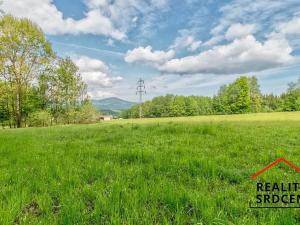 Prodej pozemku pro bydlení, Návsí, 2961 m2