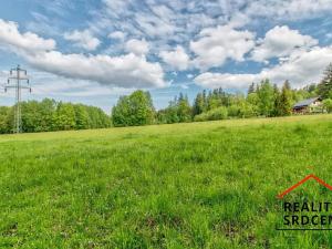 Prodej pozemku pro bydlení, Návsí, 2961 m2