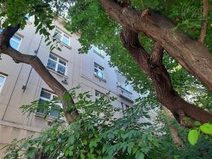 Pronájem bytu 2+kk, Praha - Břevnov, 8. listopadu, 45 m2