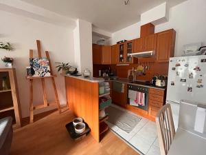Pronájem bytu 2+kk, Olomouc, Handkeho, 55 m2